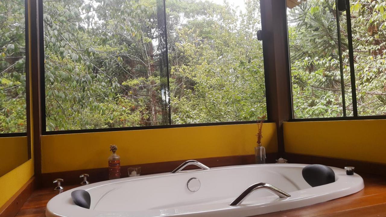 No Da Madeira *