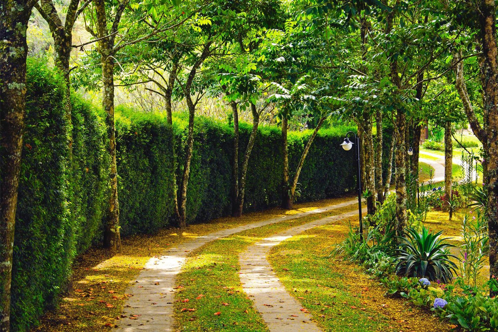 Inn No Da Madeira *