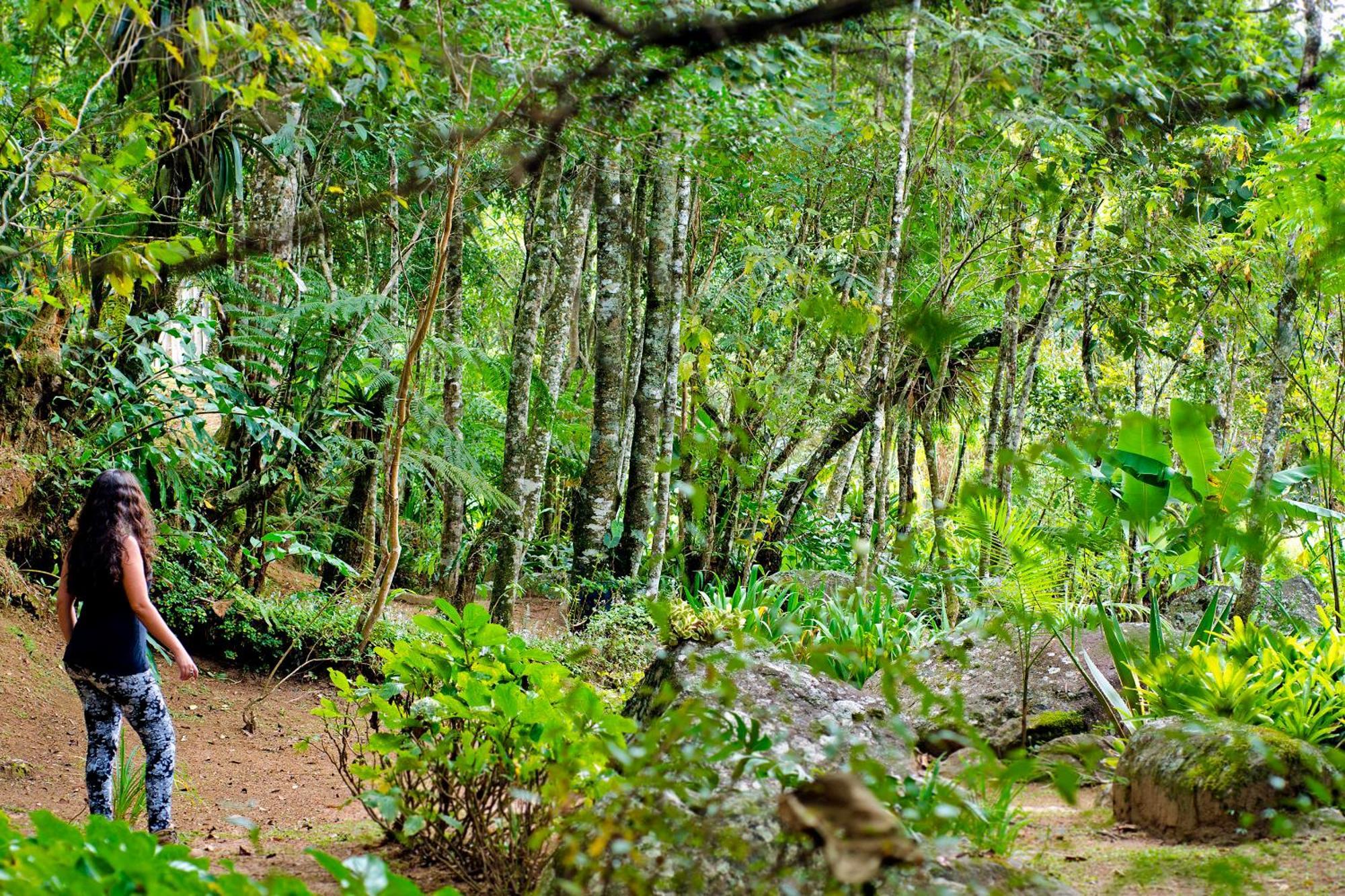 Inn No Da Madeira Visconde De Maua